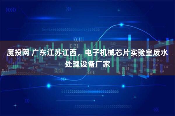 魔投网 广东江苏江西，电子机械芯片实验室废水处理设备厂家
