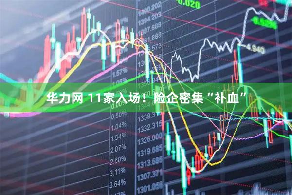 华力网 11家入场！险企密集“补血”