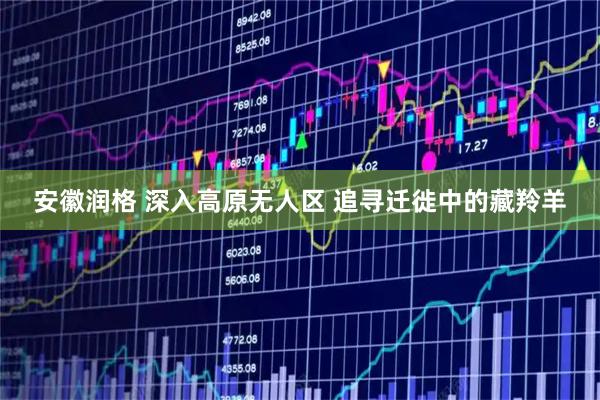 安徽润格 深入高原无人区 追寻迁徙中的藏羚羊