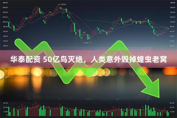 华泰配资 50亿鸟灭绝，人类意外毁掉蝗虫老窝