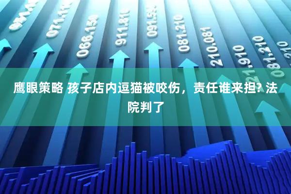 鹰眼策略 孩子店内逗猫被咬伤，责任谁来担? 法院判了
