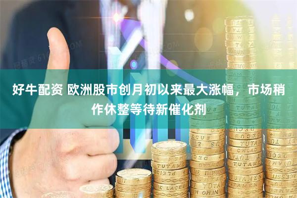 好牛配资 欧洲股市创月初以来最大涨幅，市场稍作休整等待新催化剂